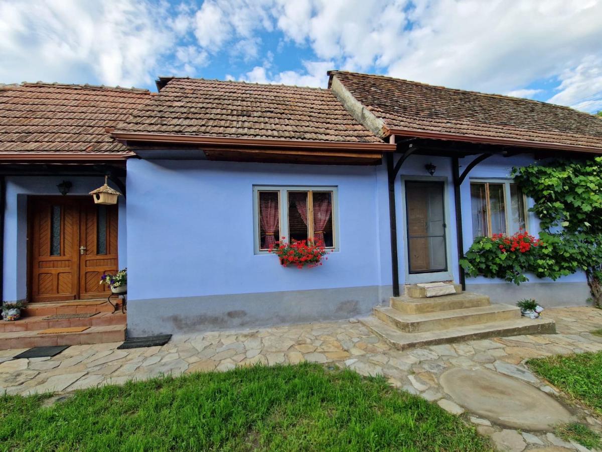 Floresti House 21 Roandola Экстерьер фото