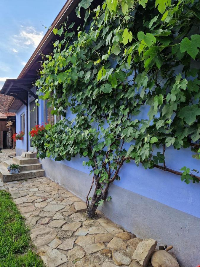 Floresti House 21 Roandola Экстерьер фото