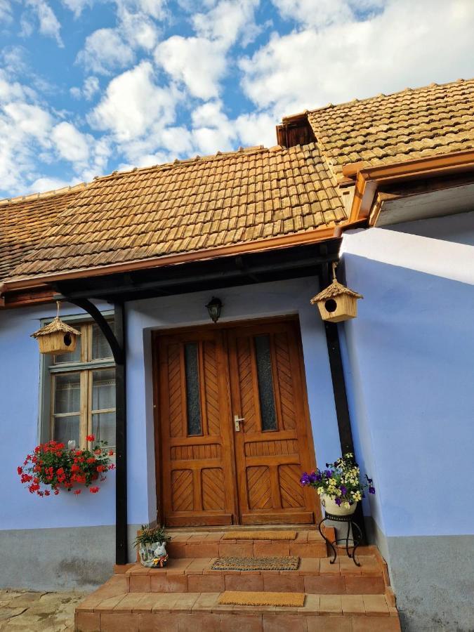 Floresti House 21 Roandola Экстерьер фото